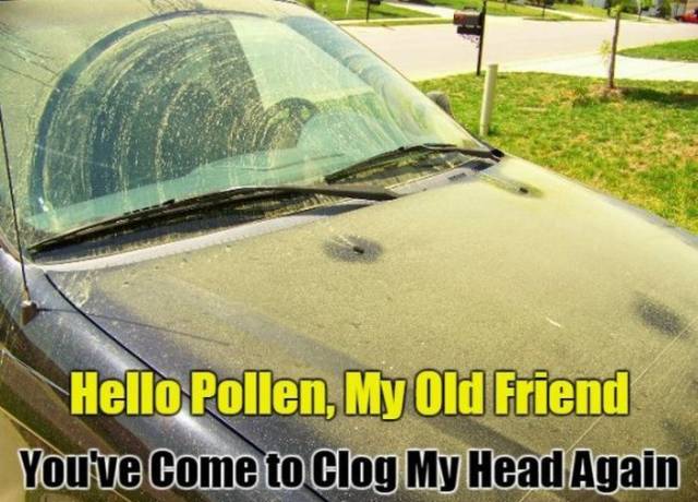 allergy_season_01.jpg