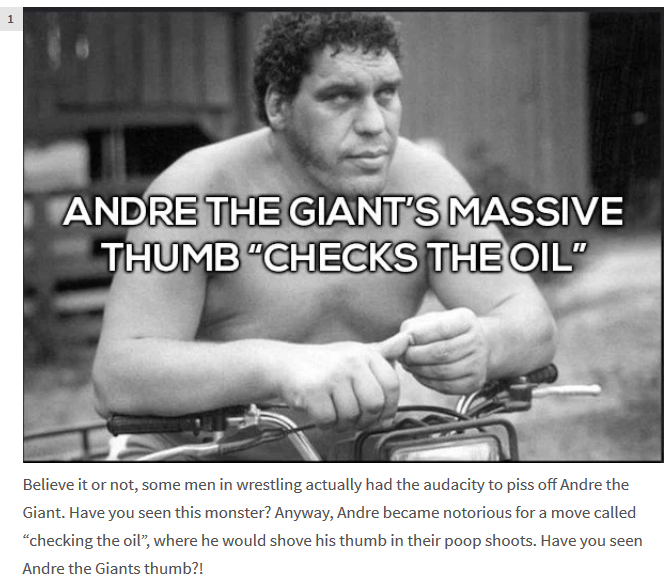 Andre.png
