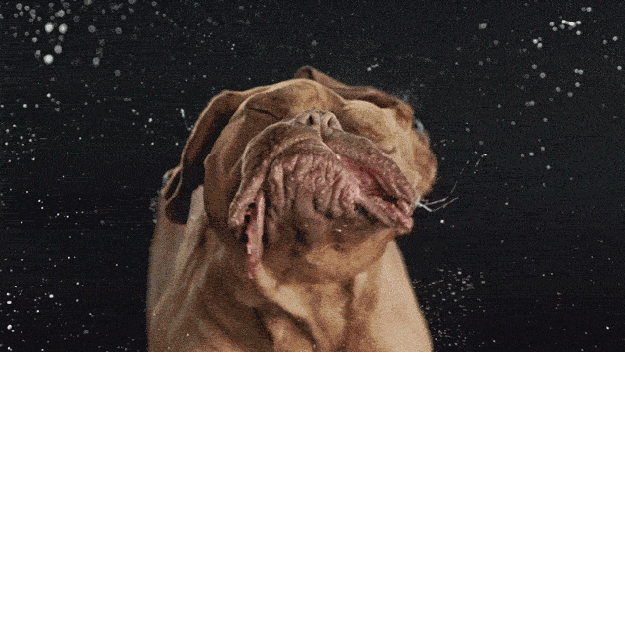 anigif_enhanced-buzz-9798-1397146314-4.gif