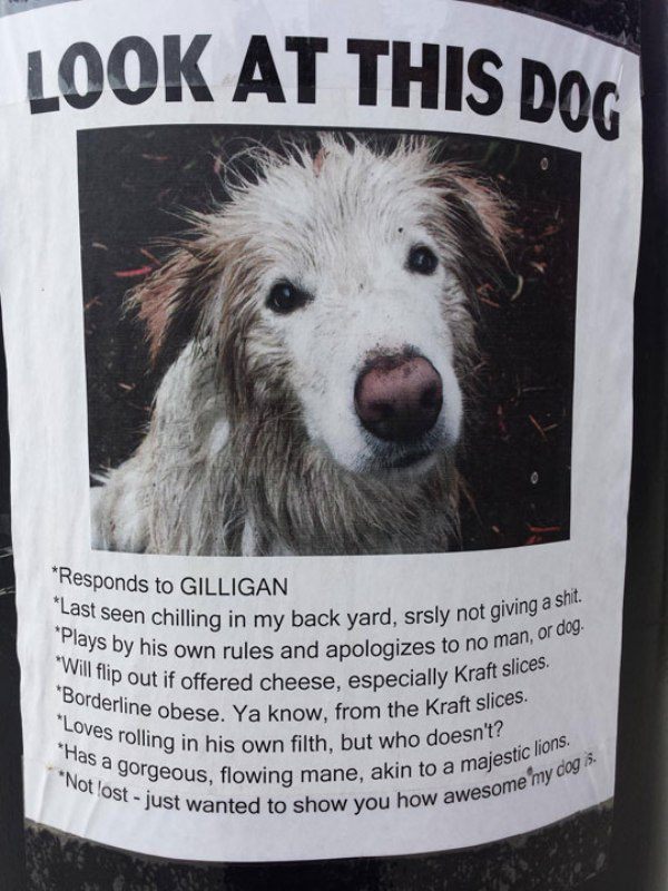 animal-funny-memes-14.jpg