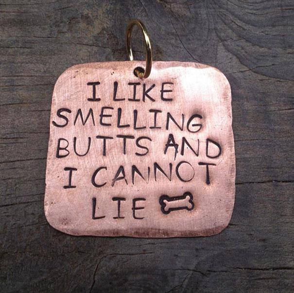 animals-collar-tags-25-photos-23.jpg