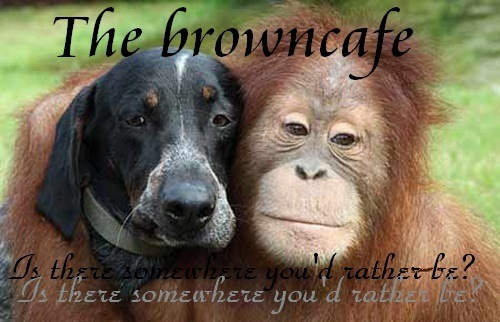 animals01two.jpg