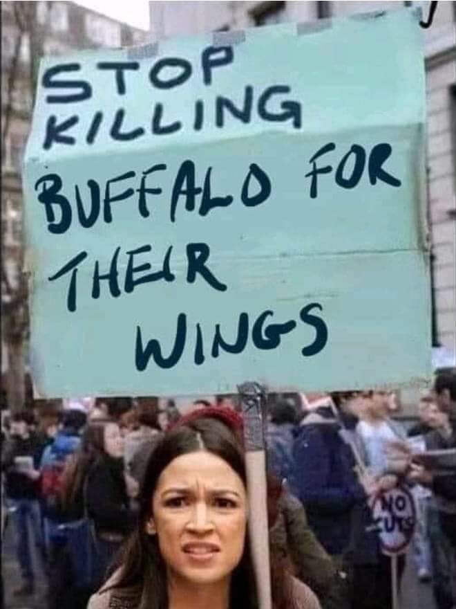 aoc wings.jpg