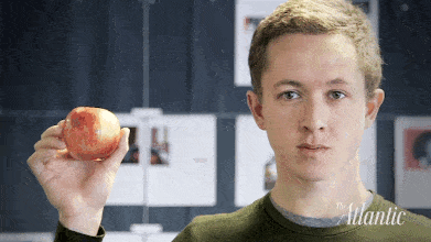 Apple_2MB_400.gif