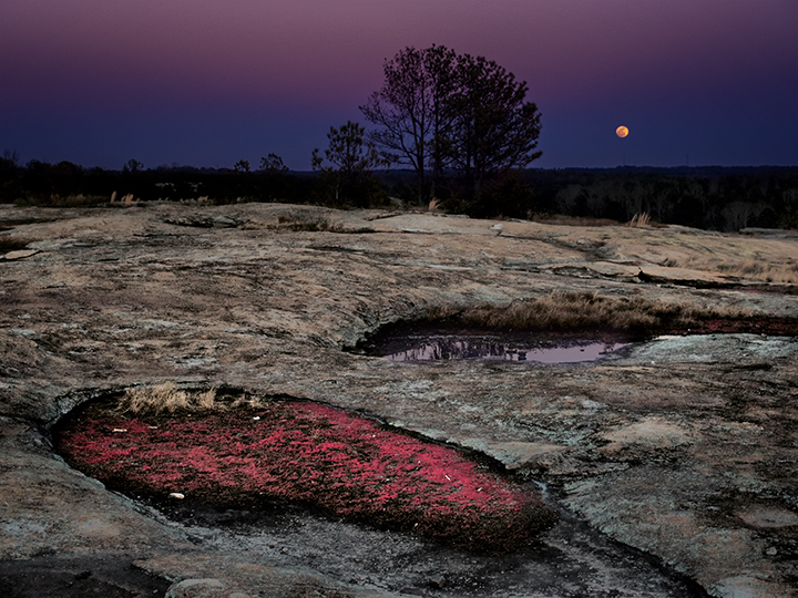 Arabia Mtn w red plants.jpg