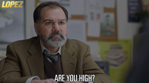 are you high.gif