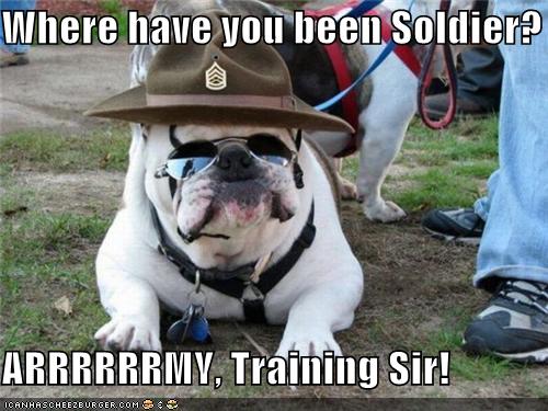 army-traing-sir.jpg