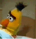 ARn3OaGVLkxMI.gif