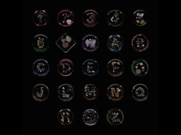 art-made-with-the-germs-1.jpg