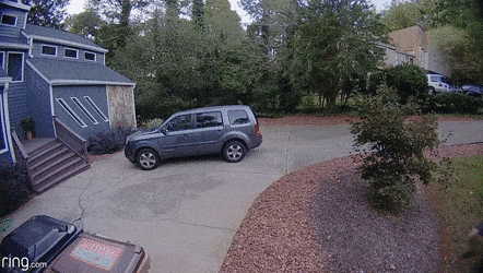 B0518E61-B5A8-45B7-9478-2AC613DFC0BE.gif