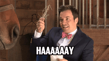 B1B48470-ECB9-454C-A0D8-73FC239D440D.gif
