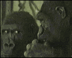 B69E6B8B-795C-4903-84A4-F4A32B63A423.gif