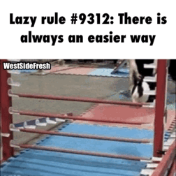 b850de84_1.gif