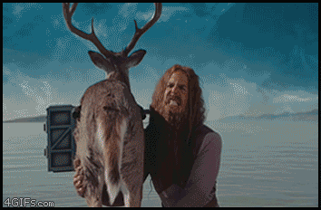 B9303311-298E-4DE3-9477-0BCAC80C9329.gif