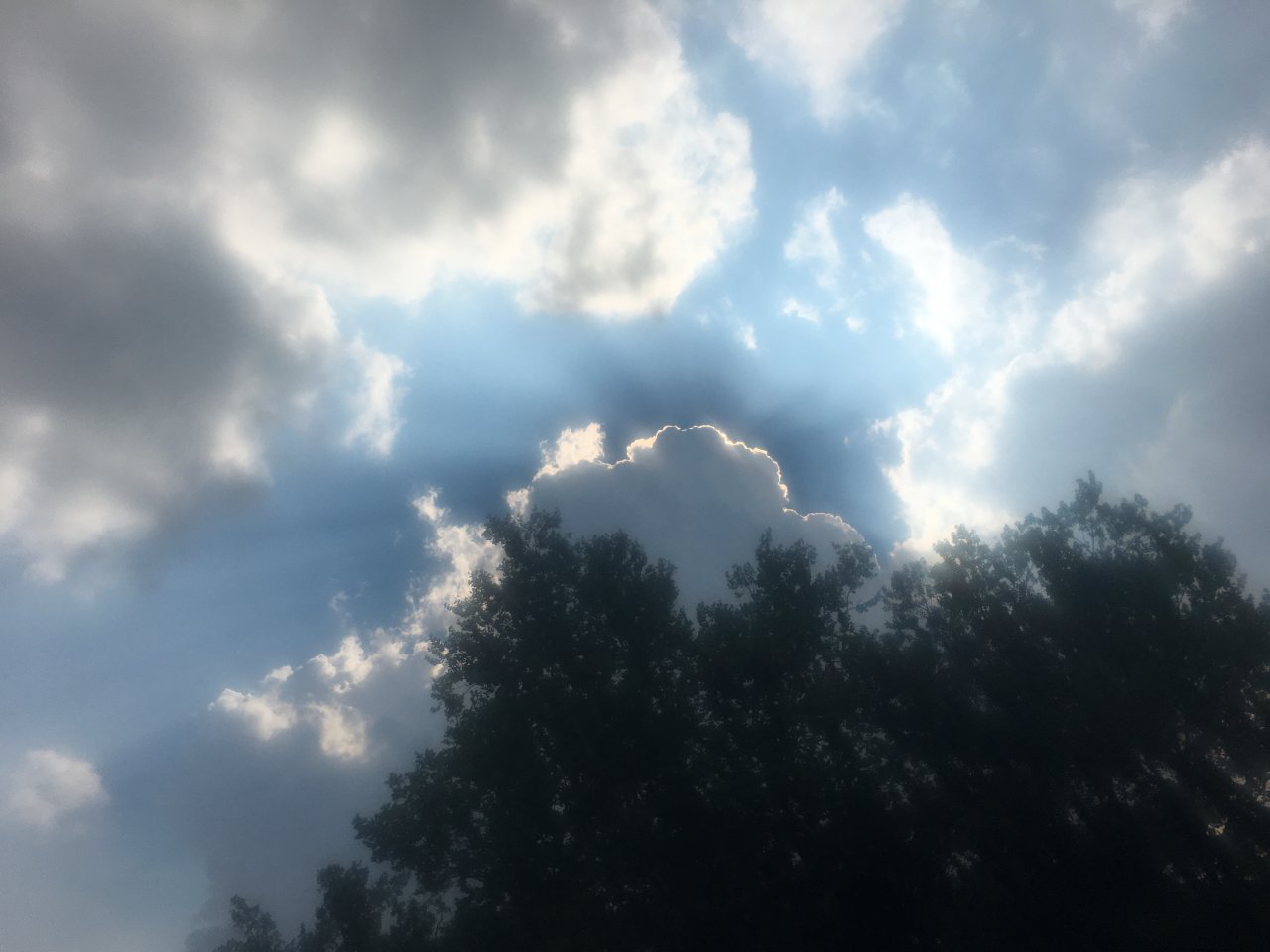 B98A74A2-12D2-417D-A0ED-3D572D2600DF.jpeg