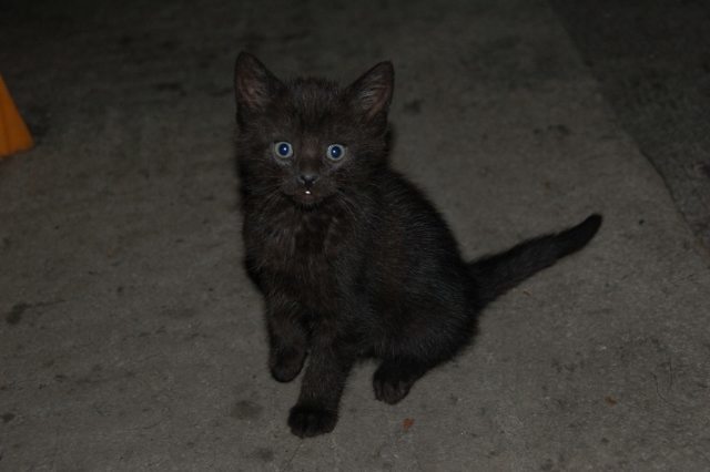 baby (640x426).jpg