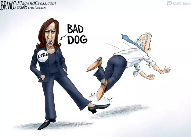 bad dog.png