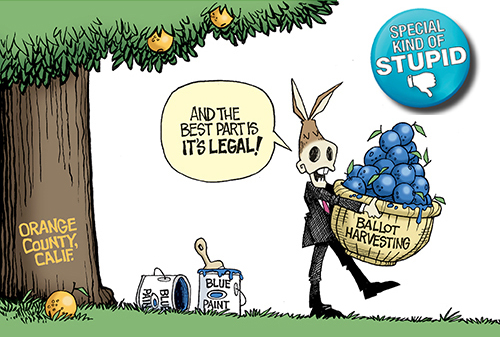 Ballot Harvesting Orange County CA.jpg