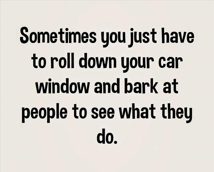 bark-at-people.jpg