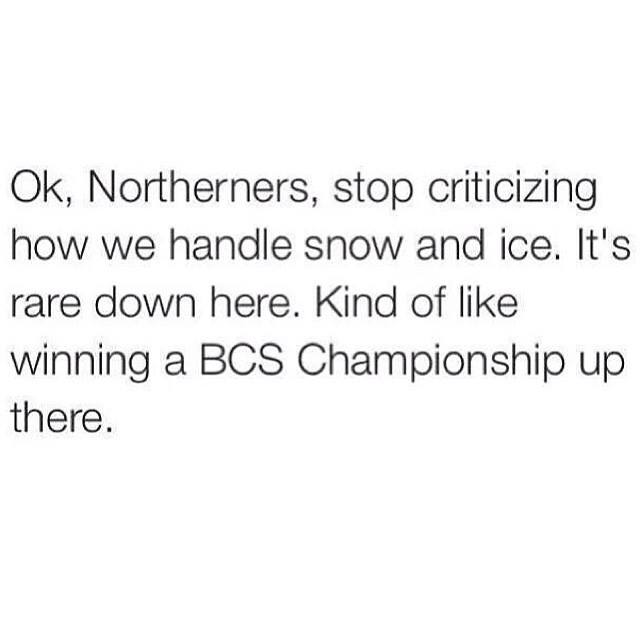 bcs.jpg