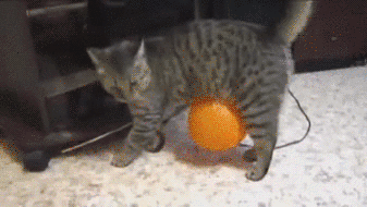 BdaR0gpPEE8QE.gif