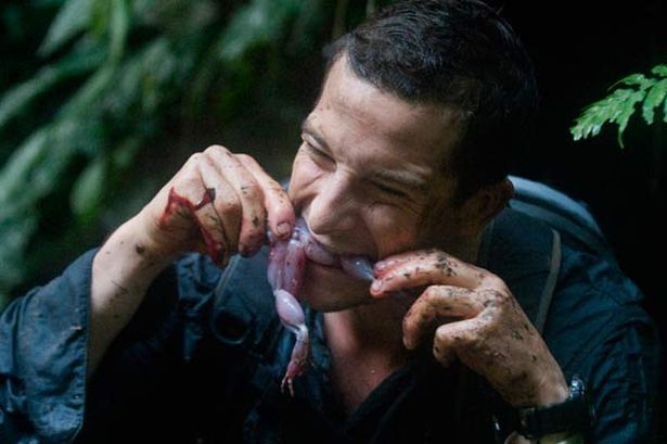 bear-grylls-frog0.jpg