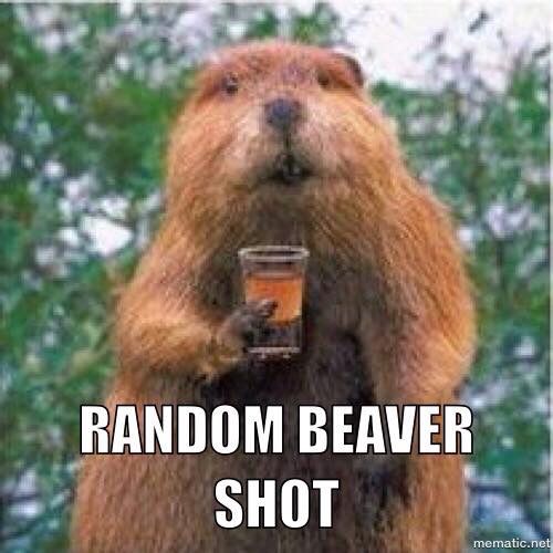 Beaver shot.jpg
