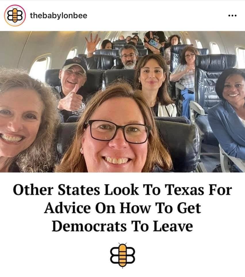 bee-tx-dems.jpg
