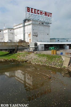 Beech Nut Factory.jpg