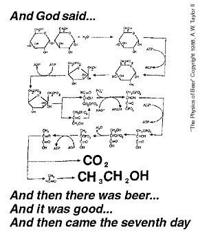 beer_cartoon.jpg