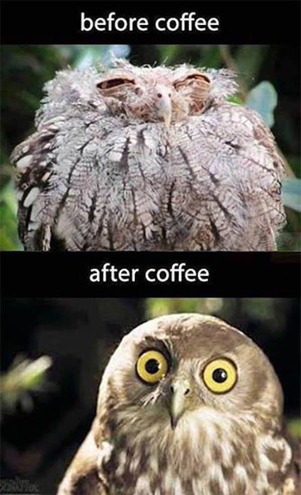 before_and_after_17.jpg