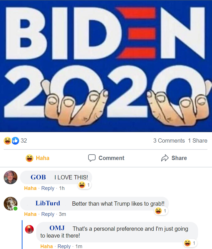 Biden 2020 Boobs on FB.jpg
