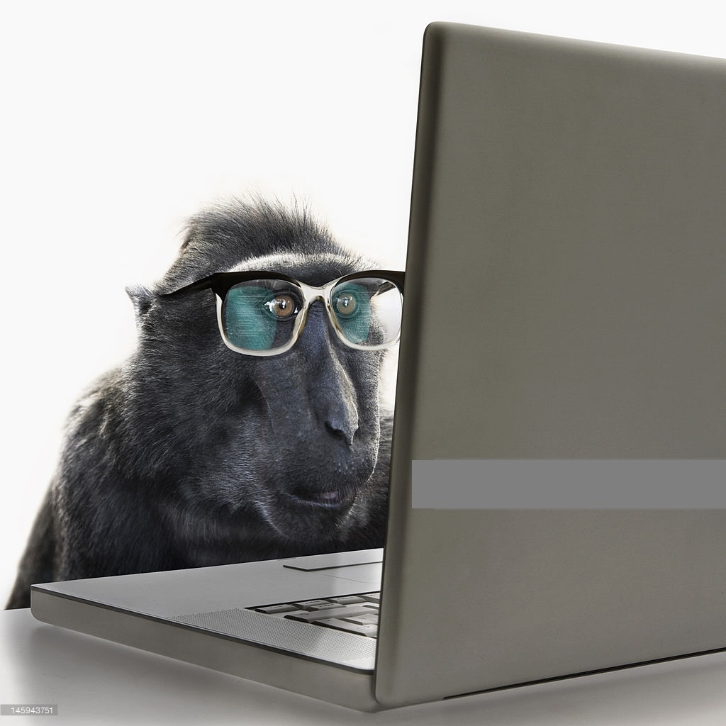 big ape.jpg