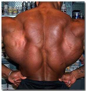 big-back-muscles.jpg