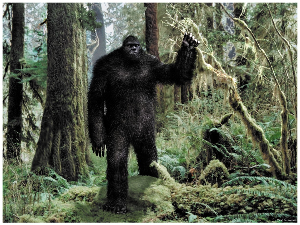 bigfoot-21.jpeg