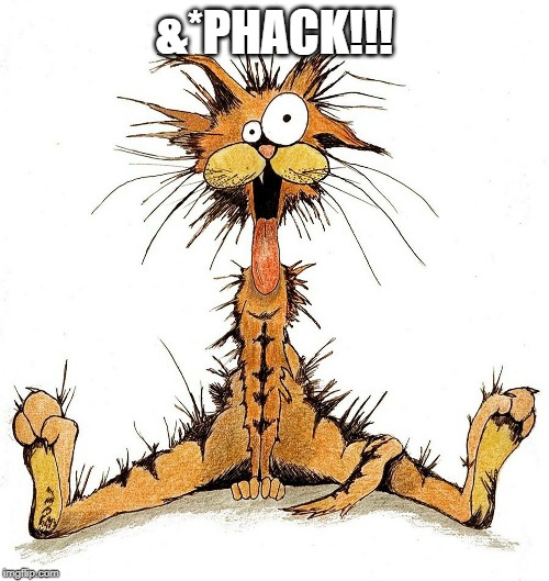 bill the cat.jpg
