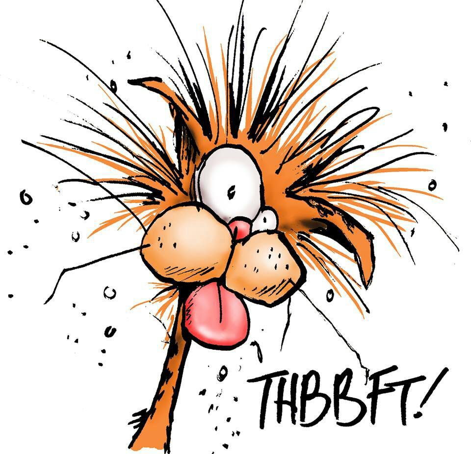 Bill the cat - THBBFT.jpg
