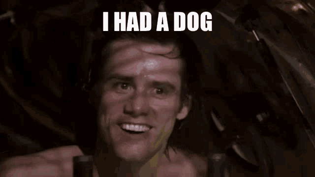 bingo-ace-ventura.gif