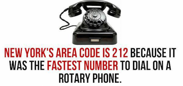 bizarre-facts-31-photos-11.jpg