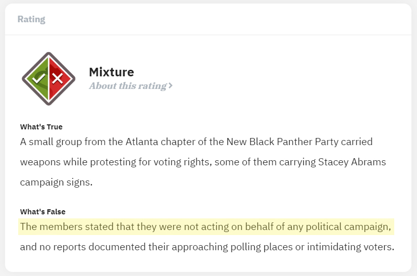 Black Panthers for Stacey Abrams.jpg