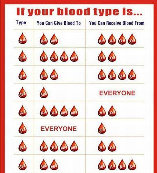 blood type.jpg