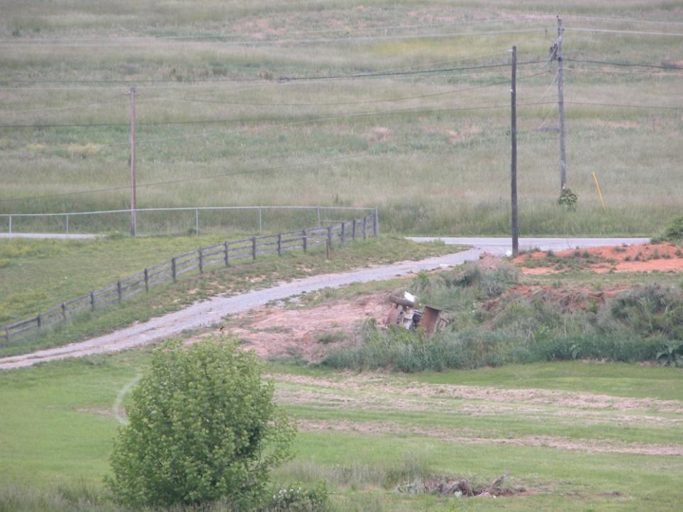 bobcat full shot.jpg