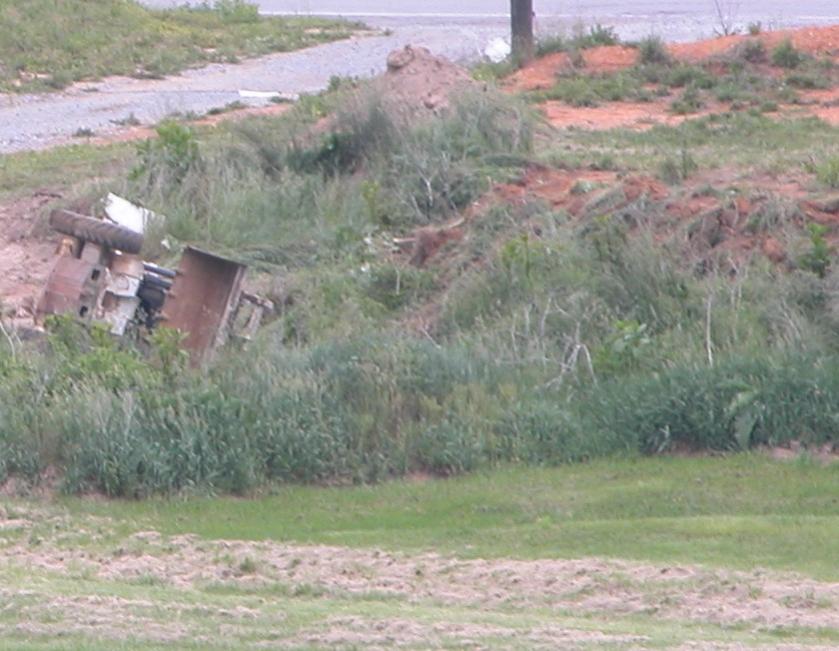 Bobcat.jpg