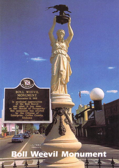 boll weevil Enterprise AL.jpg
