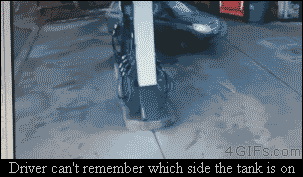 Bq8Q9b8r9f1nO.gif
