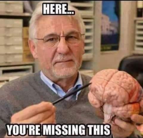 brain missing.jpg