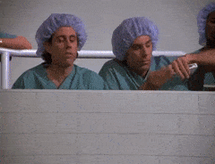 BrilliantLastAustralianfurseal-max-1mb.gif