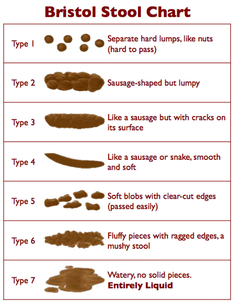 bristol_stool_chart.gif