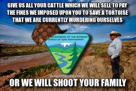 bundy1.jpg