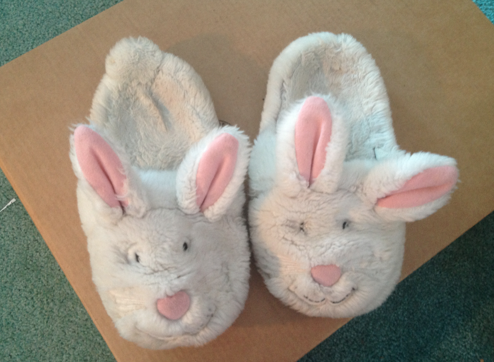 BUNNYSLIPPERS.png